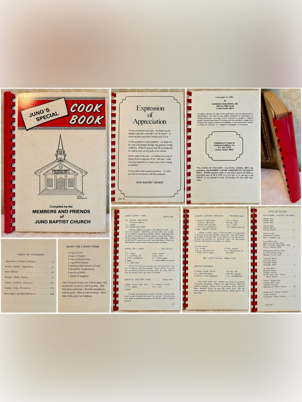 Vintage 1980 Juno Baptist Church Cookbook Dawsonville GA Community Recipes
